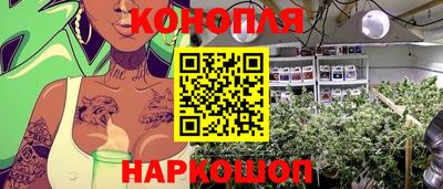 гашик Канаш