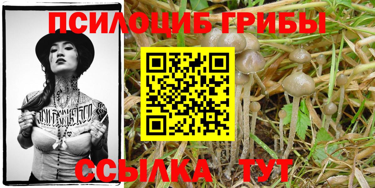 Галлюциногенные грибы MAGIC MUSHROOMS  Вход с VPN  Новый Уренгой 